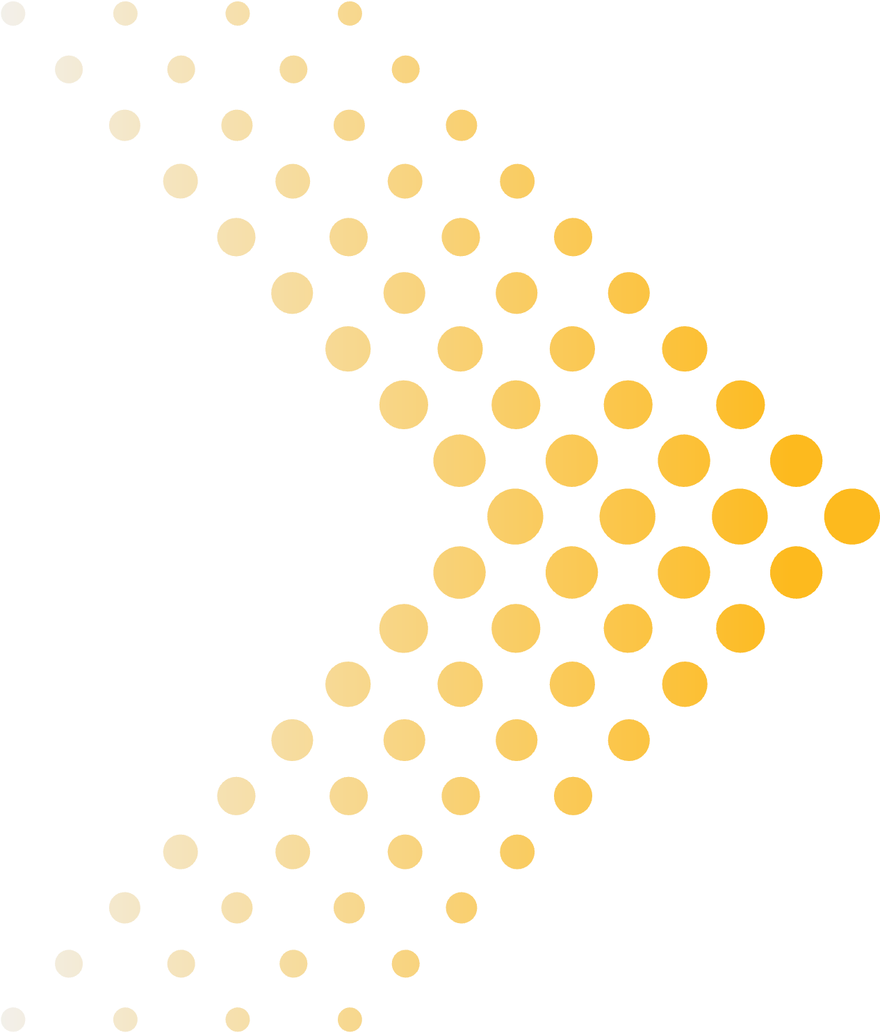 shape